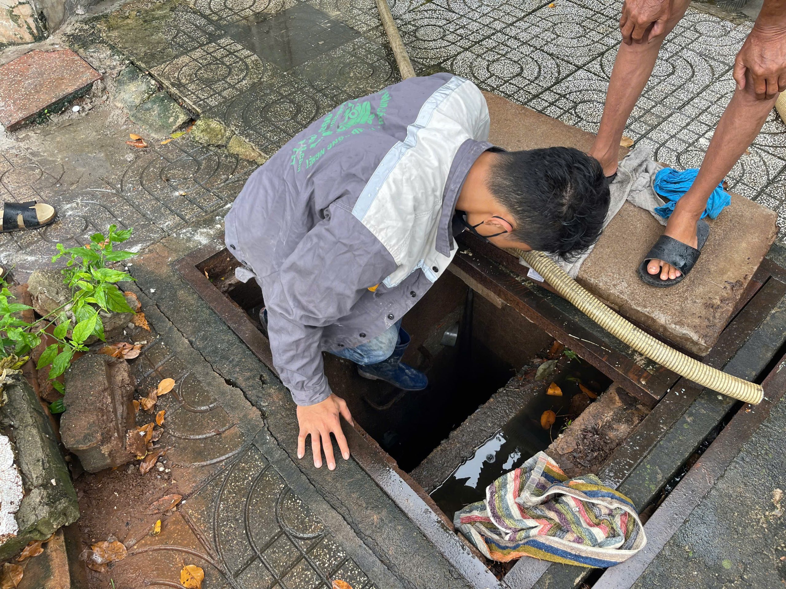 Quy trình làm việc tại Vạn Phát