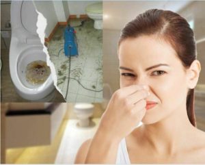 Làm cách nào để hầm cầu không bị tắc trở lại?