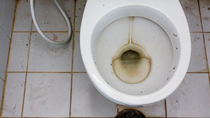 Vấn đề thường gặp khi hầm cầu không được kiểm tra định kỳ Vấn đề thường gặp khi hầm cầu không được kiểm tra định kỳ