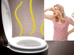 Bồn cầu bị hôi nồng nặc khi xả nước